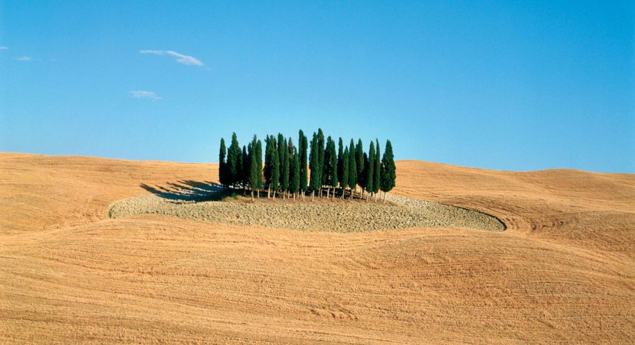 Appartamento Vecchio Mulino Isola d'Arbia المظهر الخارجي الصورة